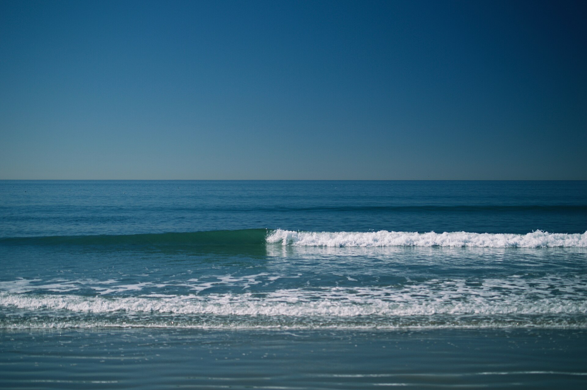 The Pacific at Venice Beach