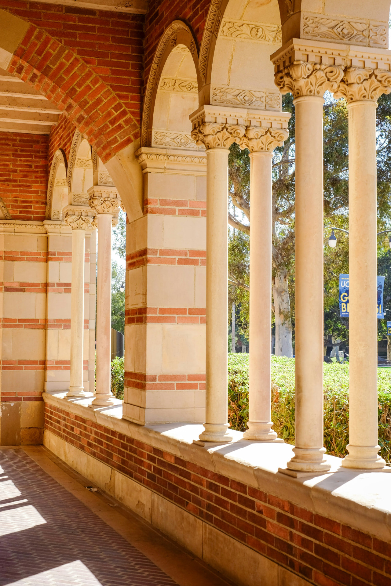 Columns at UCLA